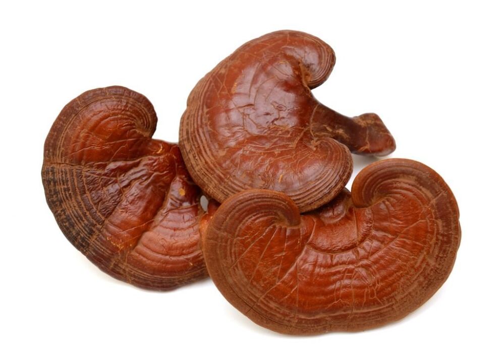 Weiprost satur reishi sēnes